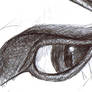 eye sketch 2