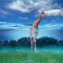 Underwater Giraffe
