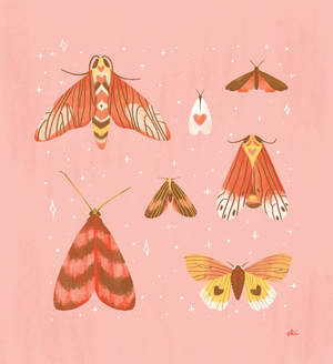 Mariposas