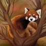 Red panda digital painting