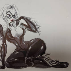 Blackcat 