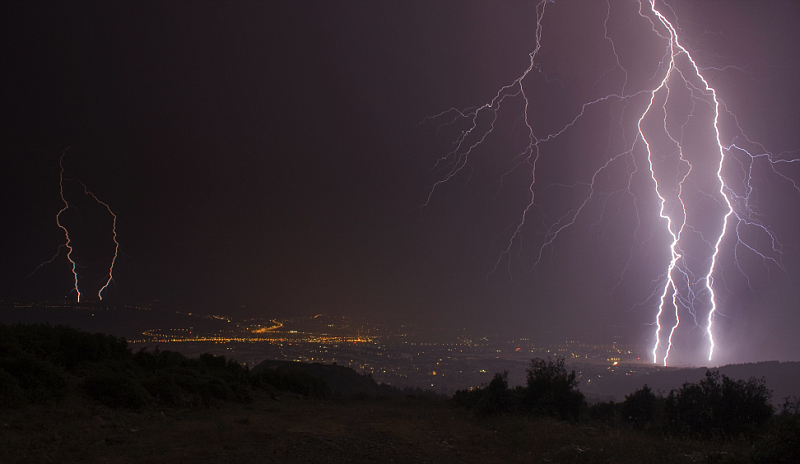 branches of a flash