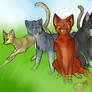 Warrior Cats REDRAW