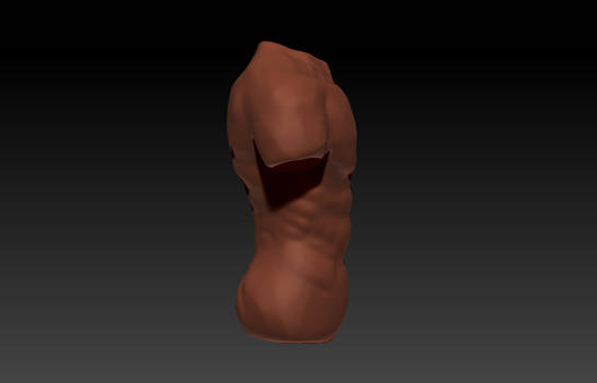 Male Torso -Zbrush 33