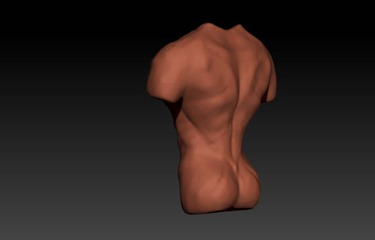 Male Torso -Zbrush 22