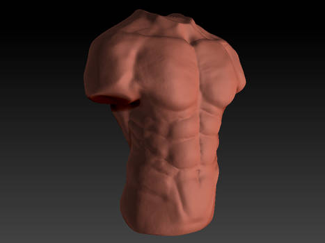 Torso Male pogress 2