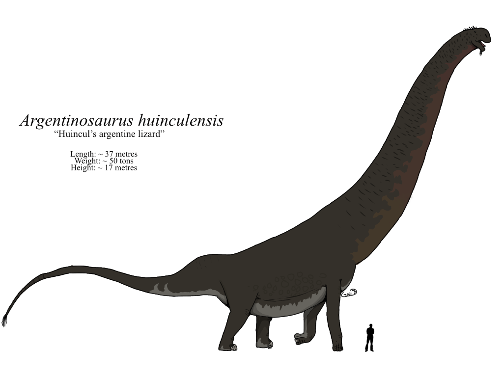 The Titan Files - Argentinosaurus huinculensis by KingDilophosaurus on  DeviantArt