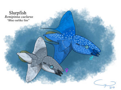 SavaAlienFish User Profile