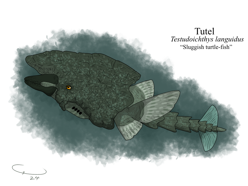 Turtle Tu Tutel by KingDilophosaurus on DeviantArt