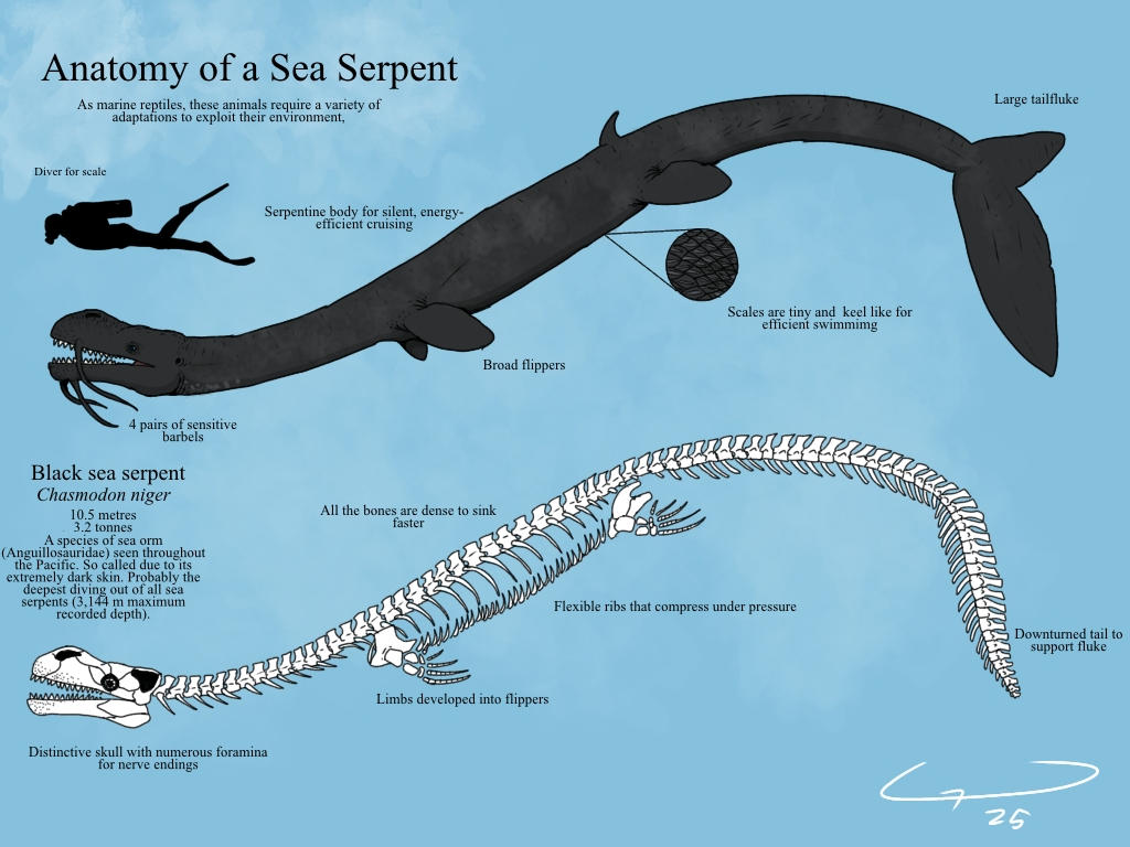 Shell Serpent Anatomy of a sea serpent by KingDilophosaurus on DeviantArt