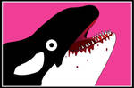 KILLER WHALE by Kirrrby