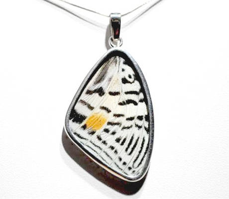 Real Butterfly Wing Jewelry