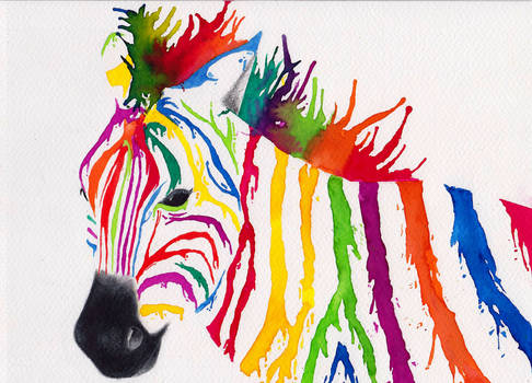 Colour Drip Zebra