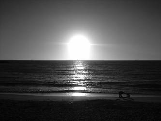 Black and White Summer Sunset