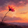 Last Light