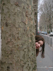 un arbre et moi