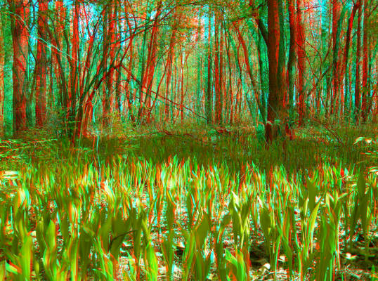 The Green Carpet 2 3D Anaglyph