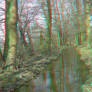 River 3D Anaglyph