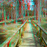 Quo Vadis? 3D Anaglyph