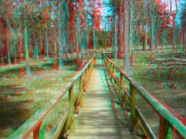 Quo Vadis? 3D Anaglyph