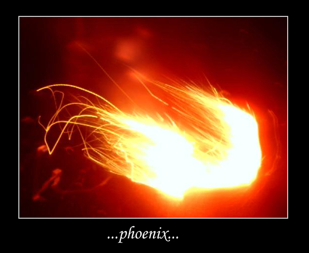 ...phoenix...