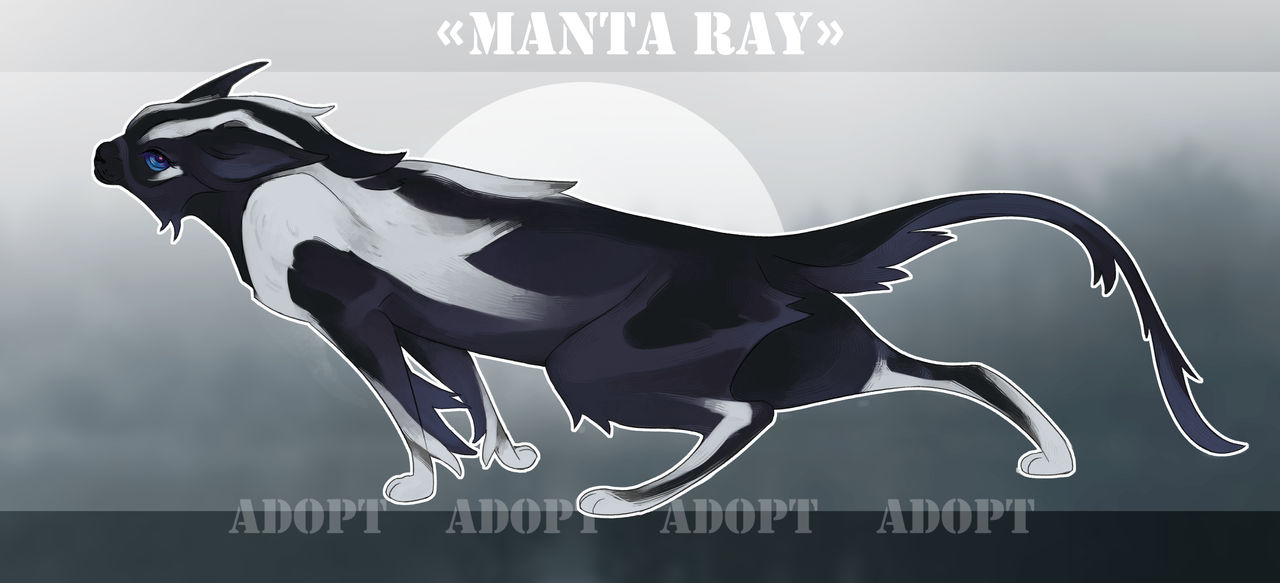 RAY cat adoptable - CLOSED by SKULD3 on DeviantArt