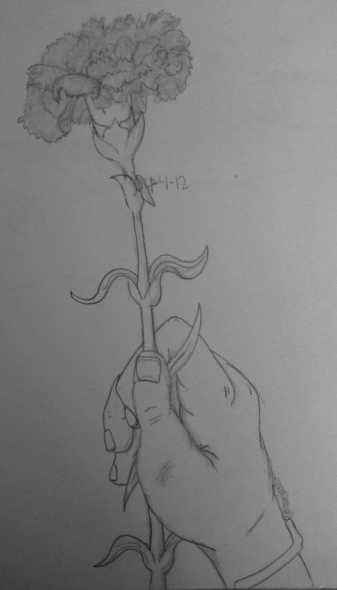 Carnation by SlayersStronghold