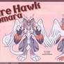 Fire Hawk Design - Isomara ARPG