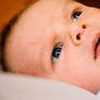 Baby Barlow I