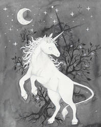 Unicorn