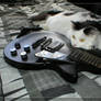 Les Paul cat