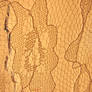 Old Fabric Lace Texure