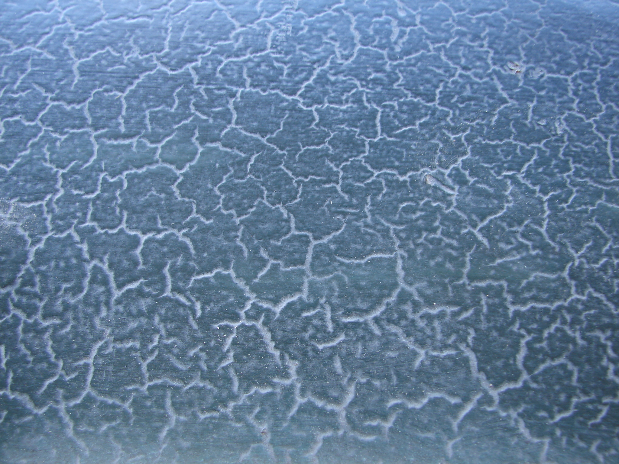 Cracked Leather Texture 1