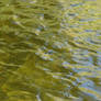 Green Pond Water Texture 1