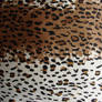 Fabric Leopard Skin Pattern