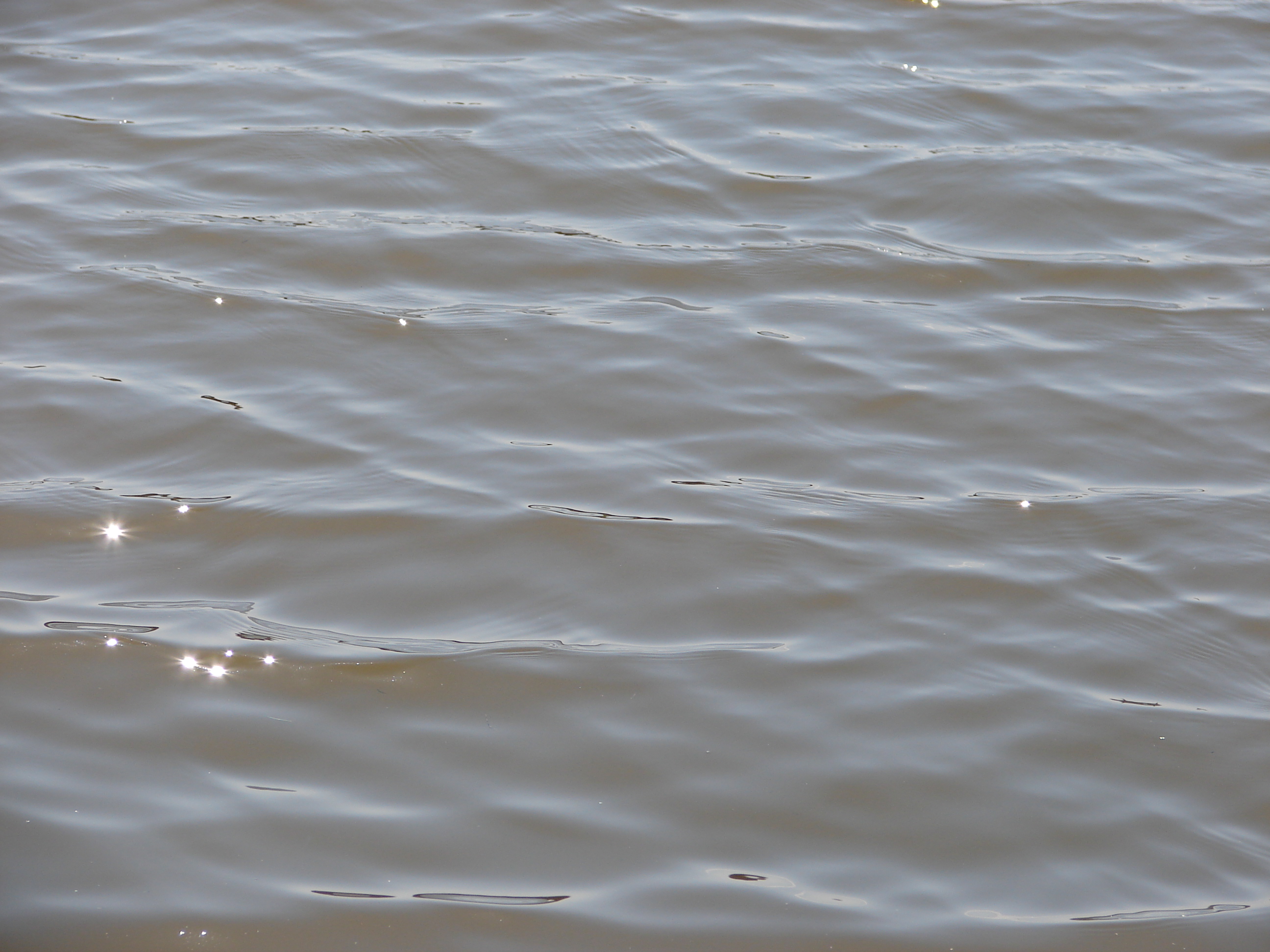 Sparkling Pond Water Texture