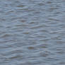 Seamless Pond Water Texture