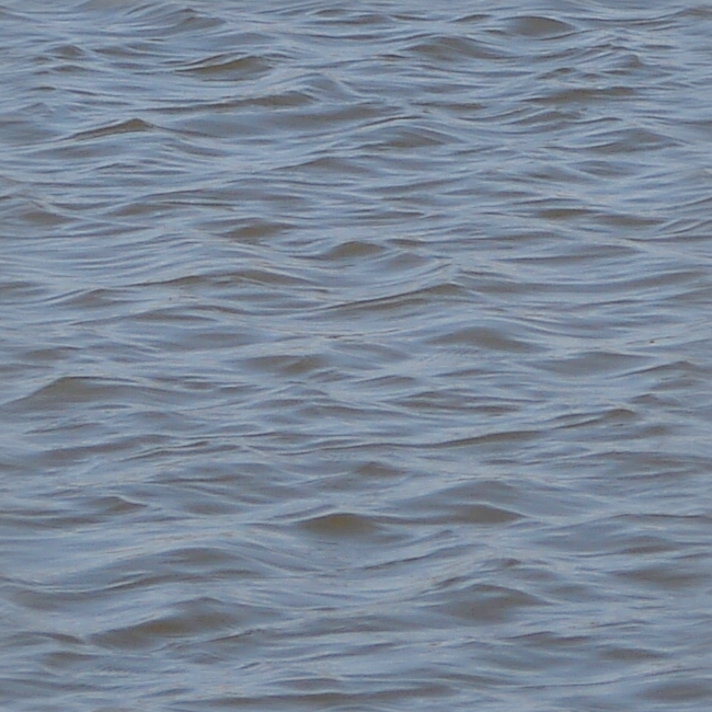 Seamless Pond Water Texture