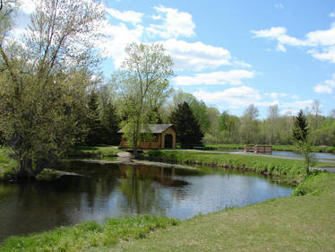 A Sunny Day at the Park