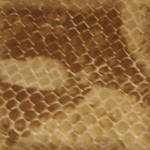 Snake Skin Seamless Texture