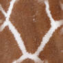 Seamless Giraffe Fur Texture