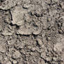 Cracked Earth Dirt Texture 02