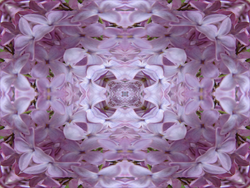 Kingdom of Lilacs Texture 3