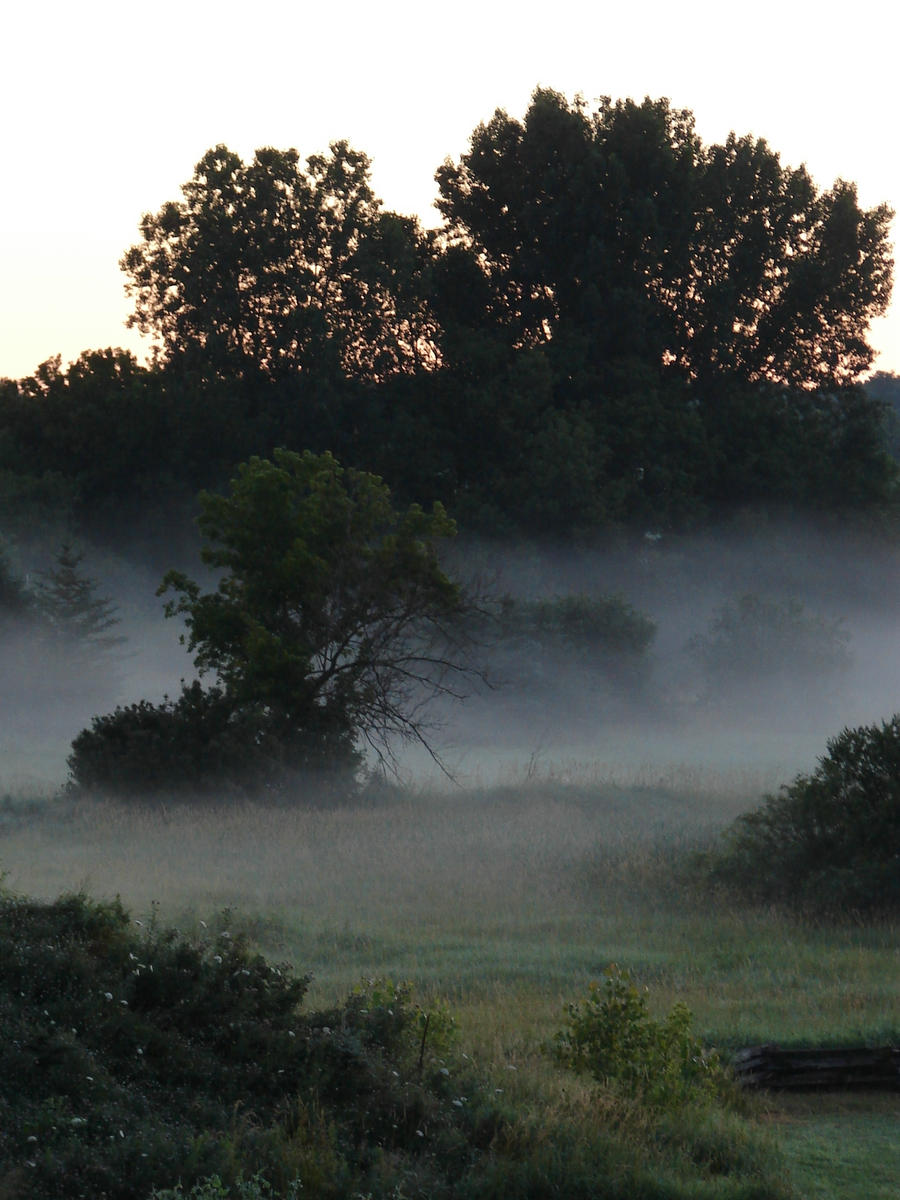 Misty Morning Sunrise 4