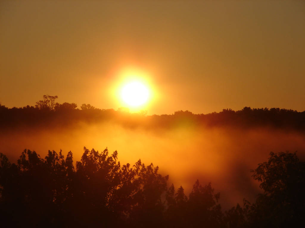 Misty Morning Sunrise 7 by FantasyStock