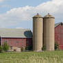 Wisconsin Dairyland Farm 1