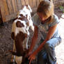 Danielle Feeding a Calf 02