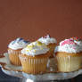 Assorted Decorated Cupcakes 3