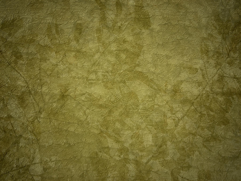Pressed Leaves Texture 2 by FantasyStock