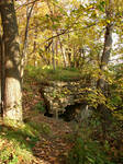 Rocky Forest Background 27 by FantasyStock
